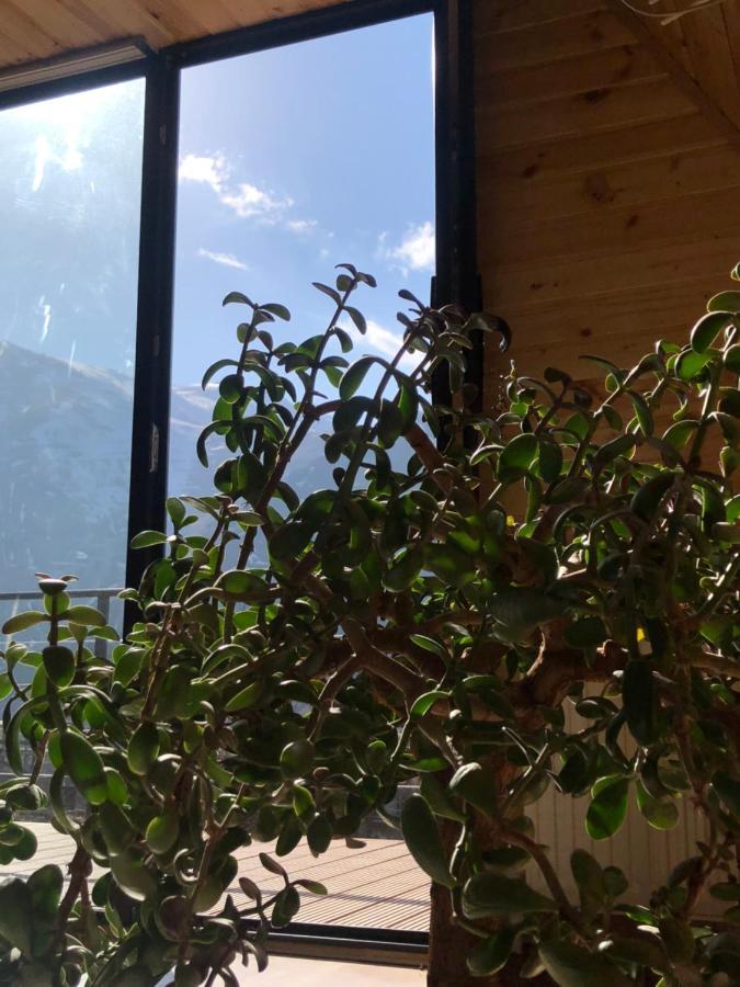 Alagi Cottage Kazbegi 외부 사진