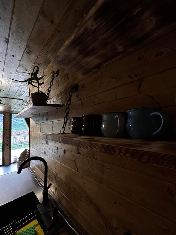Alagi Cottage Kazbegi 외부 사진