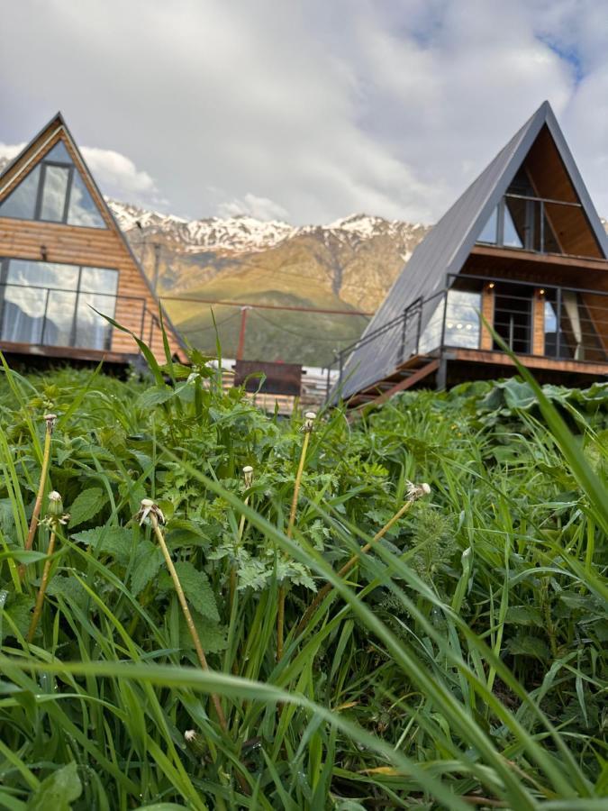 Alagi Cottage Kazbegi 외부 사진